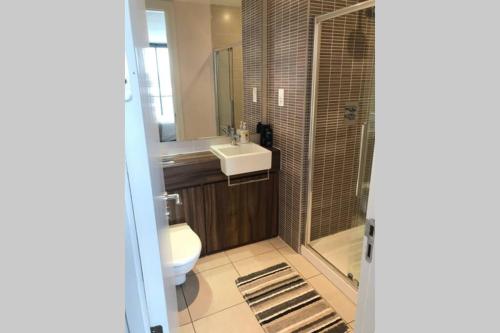 a bathroom with a toilet and a sink at Benjis Apartment in Belfast