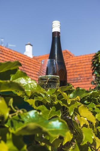 a bottle of wine sitting on top of a plant at Apartmány Pulgary in Bulhary