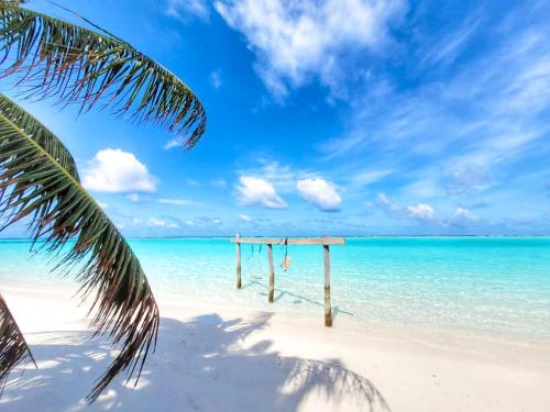 a wooden pier on a beach with the ocean at Dhonkamana Stay in Thoddoo