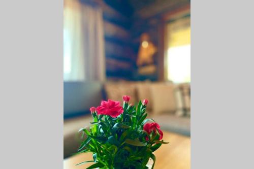 a vase with red flowers sitting on a table at Ruka View at the Slopes Ski in, Family & Bike Park, National Park, hike trails - Lapland Villas in Ruka