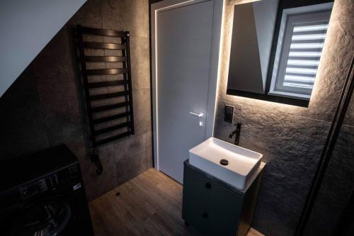 a bathroom with a sink and a mirror at Apartment Austėja in Karklė