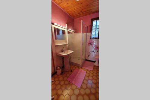 uma casa de banho com um lavatório e um chuveiro em Chalet privé au Mont-Serein ventoux em Mont Serein
