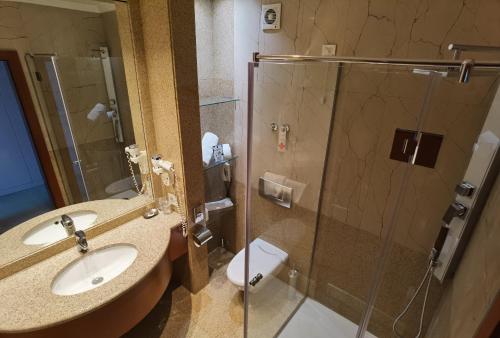 a bathroom with a sink and a glass shower at Garni Hotel Aleksandar in Novi Sad