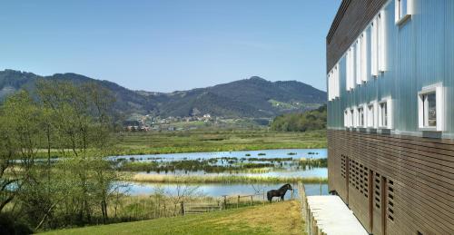 a horse standing on the side of a building next to a river at Urdaibai Bird Center in Gautegiz Arteaga