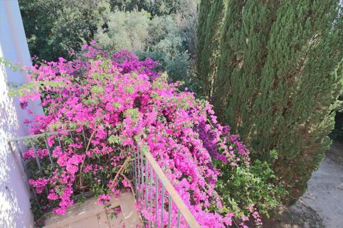 a bunch of pink flowers on a balcony at Relais Delle Rose in Lecce