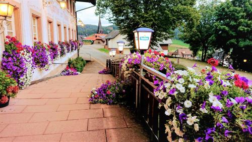 Taman di luar ZUR TRAUBE Schwarzwaldhotel & Restaurant am Titisee