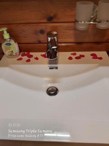 a bathroom sink with red hearts on it at Ardennes in Rendeux