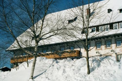 ZUR TRAUBE Schwarzwaldhotel & Restaurant am Titisee semasa musim sejuk