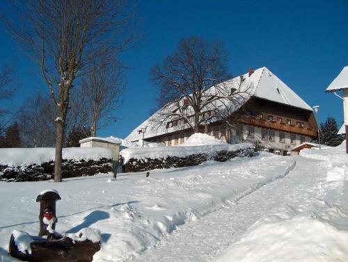 ZUR TRAUBE Schwarzwaldhotel & Restaurant am Titisee semasa musim sejuk