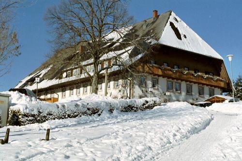 ZUR TRAUBE Schwarzwaldhotel & Restaurant am Titisee semasa musim sejuk