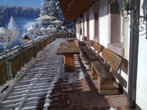 ZUR TRAUBE Schwarzwaldhotel & Restaurant am Titisee semasa musim sejuk