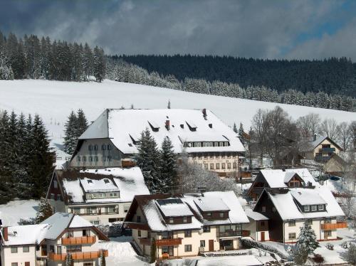 ZUR TRAUBE Schwarzwaldhotel & Restaurant am Titisee semasa musim sejuk