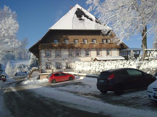 ZUR TRAUBE Schwarzwaldhotel & Restaurant am Titisee semasa musim sejuk