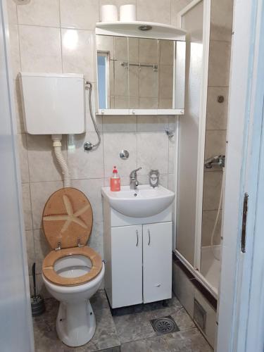 La petite salle de bains est pourvue de toilettes et d'un lavabo. dans l'établissement Apartman Park, TC Stadion Vozdovac, à Belgrade