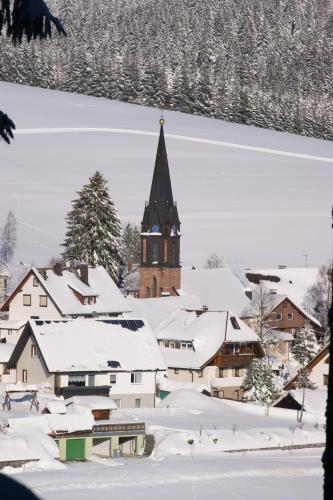 ZUR TRAUBE Schwarzwaldhotel & Restaurant am Titisee semasa musim sejuk