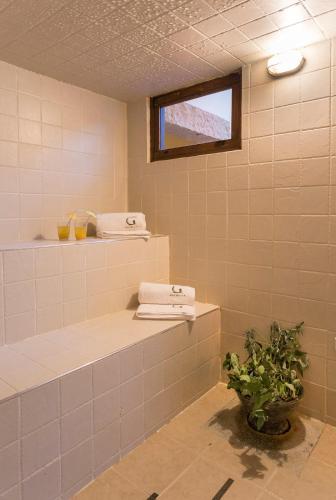 a bathroom with two towels on shelves and a plant at Hotel y Spa Getsemani in Villa de Leyva
