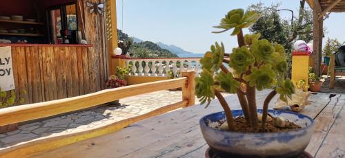 Γενική θέα στο βουνό ή θέα στο βουνό από  αυτό το διαμέρισμα