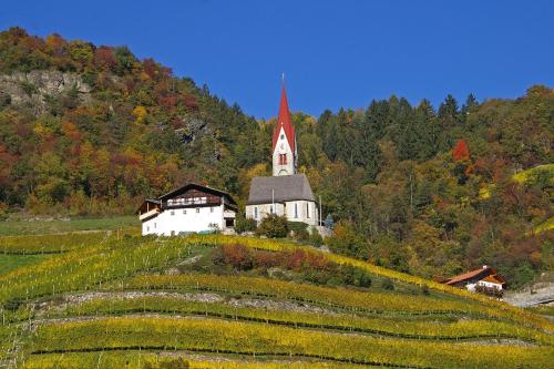 a church on top of a hill with vineyards at Schrotthof in Feldthurns