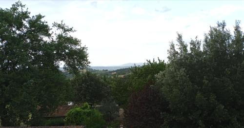 a view of some trees in the distance at Tra grilli e cicale in Deruta