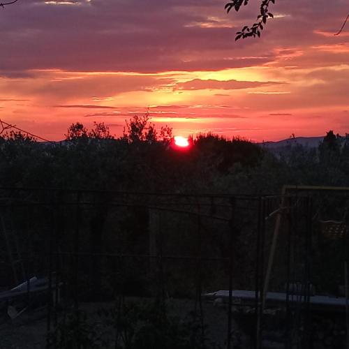 a sunset from the backyard of a house at Tra grilli e cicale in Deruta