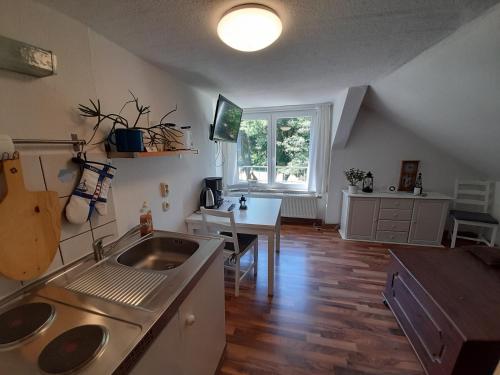 a kitchen with a sink and a table in it at FeWo Bockmühle in Hohnstein