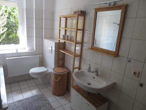 ein Badezimmer mit einem Waschbecken, einem WC und einem Spiegel in der Unterkunft Blota Kral in Lübben