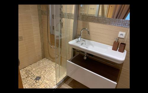 a bathroom with a sink and a shower at Mont Blanc in Peisey-Nancroix