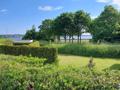 un jardin avec des haies et des arbres en arrière-plan dans l'établissement Mettes Romanti, à Hadsund
