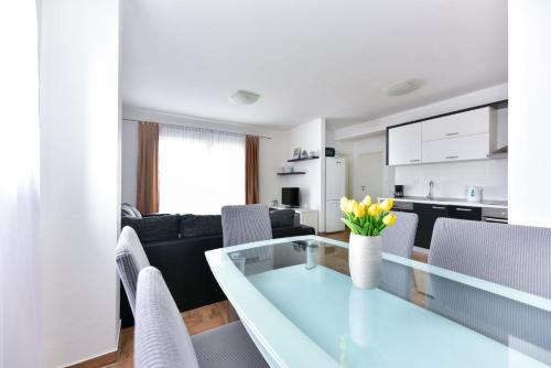 Apartments Villa Visnjik