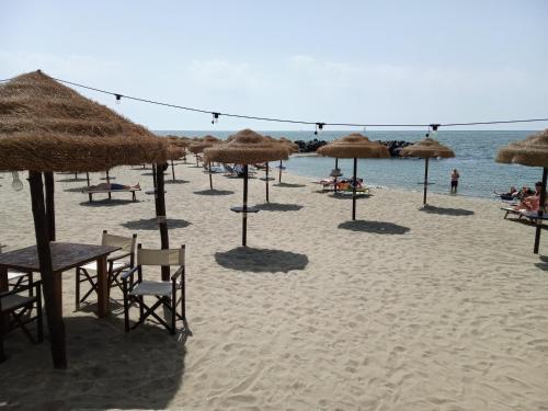 a beach with straw umbrellas and chairs on the sand at B&B Purple Italy in Fiumicino