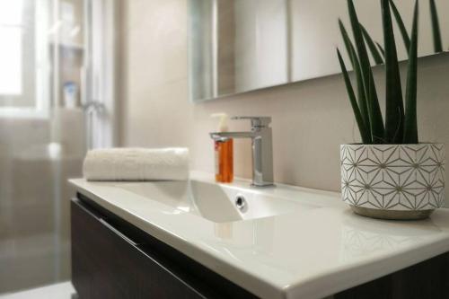 La salle de bains est pourvue d'un lavabo et d'une plante en pot. dans l'établissement Xativa, Style Apartment, à Xàtiva