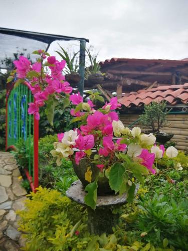 a bouquet of pink and white flowers in a garden at Salamina Highs in Salamina