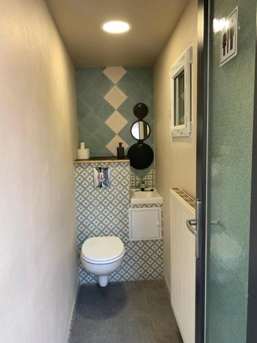 a small bathroom with a toilet in a room at Vila Montana Valiug in Văliug