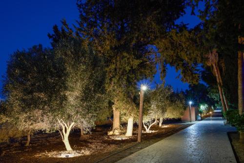 a street at night with trees and lights at The Olympians Villas in Polis Chrysochous
