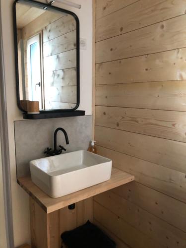 a bathroom with a white sink and a mirror at Le petit Repaire de Sailhan, Ecolodges in Sailhan
