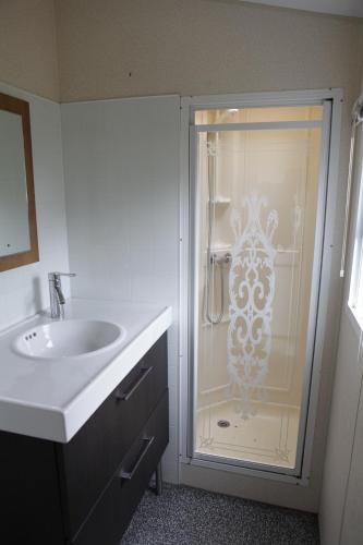 a bathroom with a shower with a sink at CHALET AAN HET STRAND in Nieuwvliet