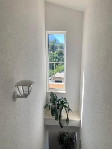 a room with a window and a plant on a shelf at Apartments Nevenka i Josko in Tučepi