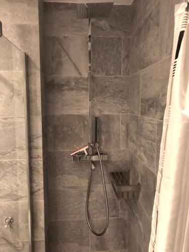 a shower with a shower head in a bathroom at BUDE'55 Loft 14 in Winterberg