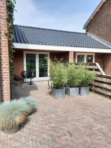 a brick patio with plants in pots in front of a house at Southpoint Zandvoort & private parking in Zandvoort