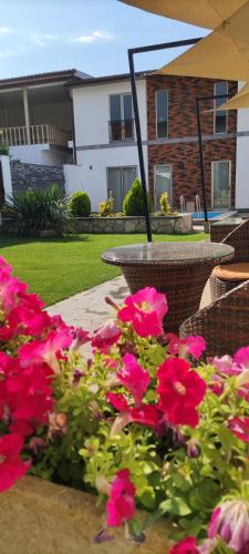 Garden Lounge Hotelにある庭