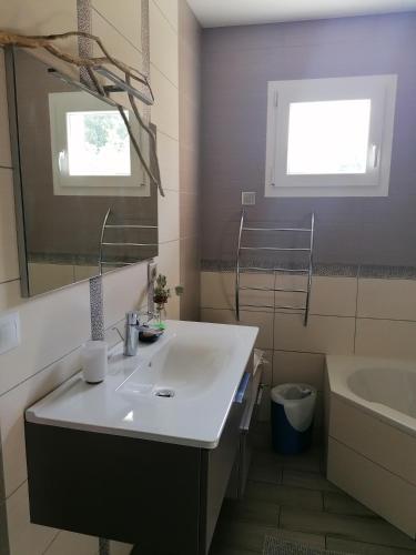 a bathroom with a sink and a mirror and a tub at Chez Catherine & Patrick in Fontenu