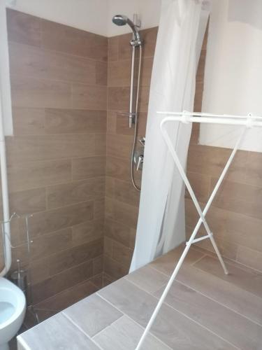 a bathroom with a shower and a toilet at B&B ANDEMAR Rooms in Satriano di Lucania