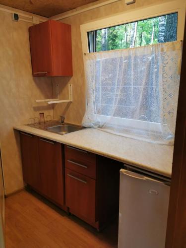 Una cocina o cocineta en Nova Mazury