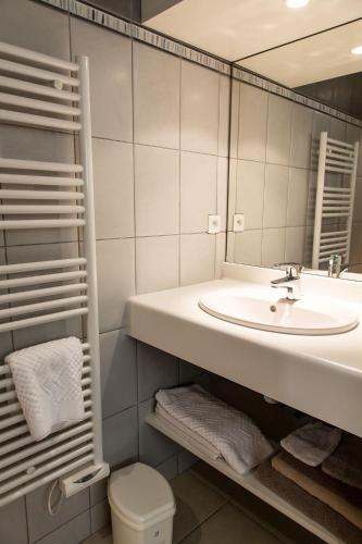 une salle de bain avec un lavabo, des toilettes et un miroir dans l'établissement Chambres Au Jardin Fleuri, à Les Châtelliers-Châteaumur