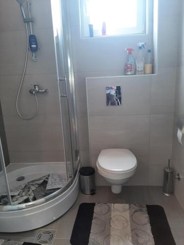 a bathroom with a shower and a toilet and a sink at Tanja 3 in Dušanovac (historical)