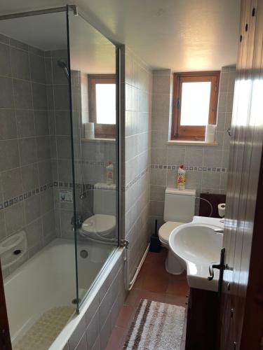a bathroom with a shower and a toilet and a sink at Omodos Village Houses in Omodos