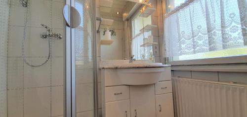 a bathroom with a sink and a shower at Ferienhaus am Seeblick Grill, Garten, Billiard, Dart, Bike, Sauna ww-Seeblick in Driedorf