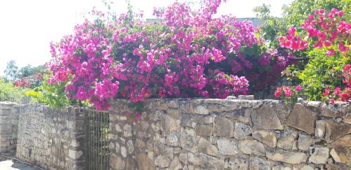 Gallery image of Villa Kiki Paxos Ozias in Gaios