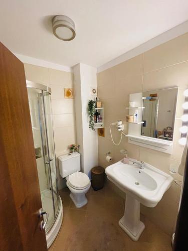 a bathroom with a sink and a toilet and a shower at Delux Apartment in Predeal