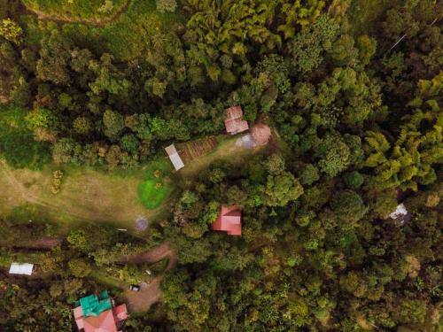 an overhead view of a forest with houses and trees at Casa de Vista Alta in Mindo